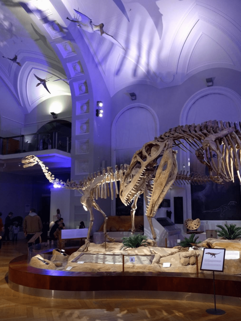 Visiter musée d'histoire naturelle d'Helsinki