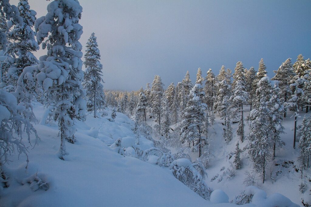 Visiter la région d'Inari en Laponie finlandaise